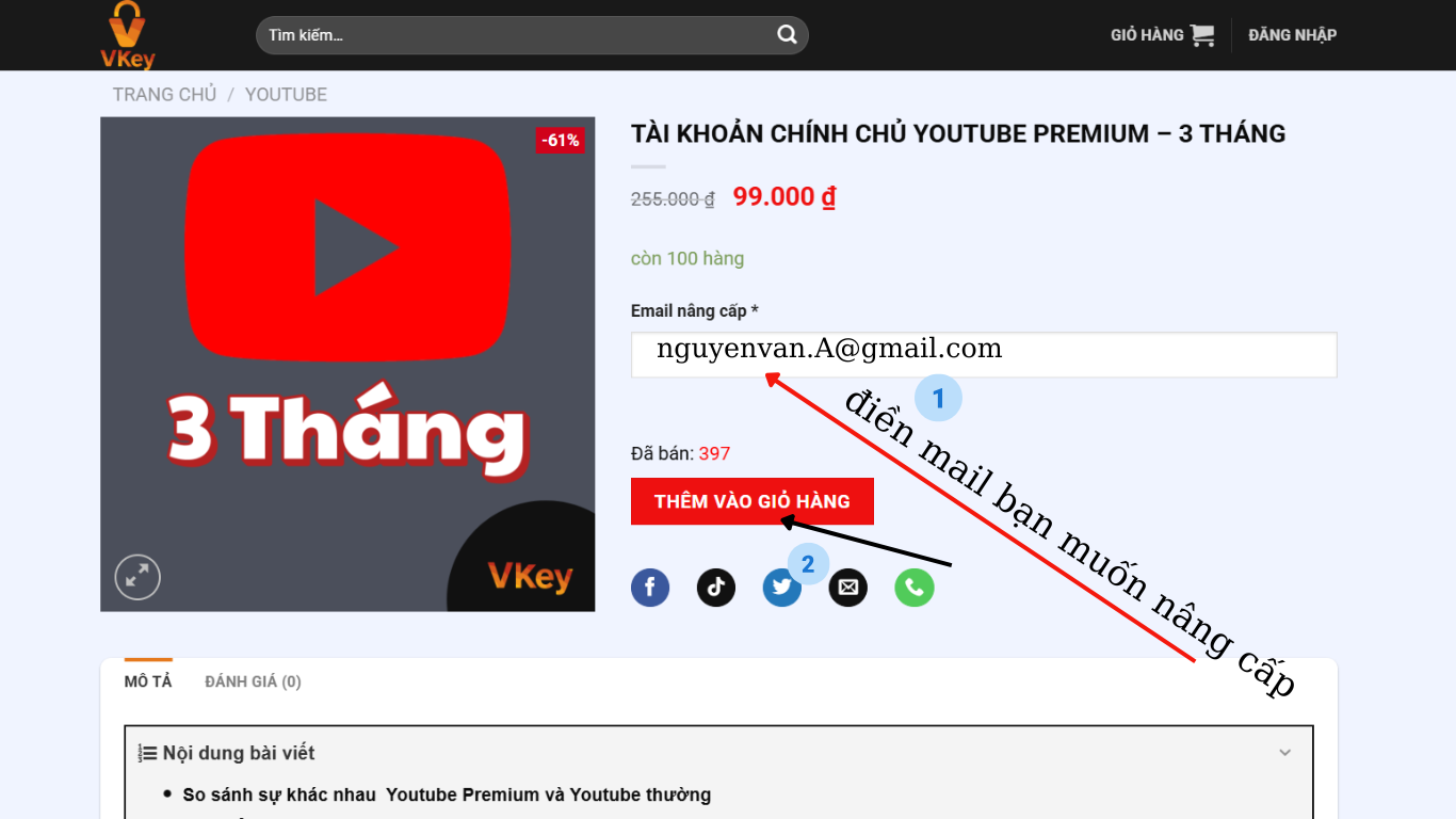 Bước 1: Chọn sản phẩm và điền email nâng cấp