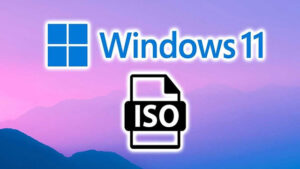 win 11 toan dien