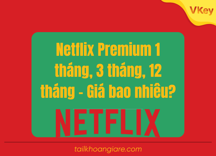 Netflix Premium 1 thang 3 thang 12 thang – Gia bao nhieu